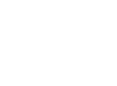 Shelter Creek Cattle Co